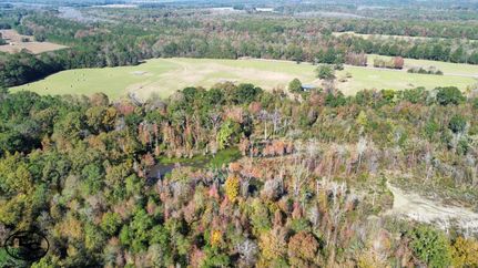 Property for sale in Dallas County, Alabama