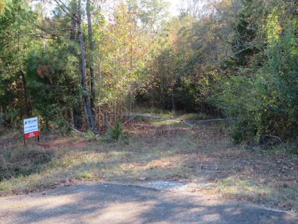 Undeveloped Land for sale in Quitman County, Georgia