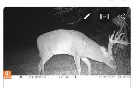 Farm Property for sale in Cumberland County, Illinois