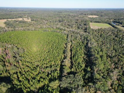 Property for sale in Holmes County, Florida