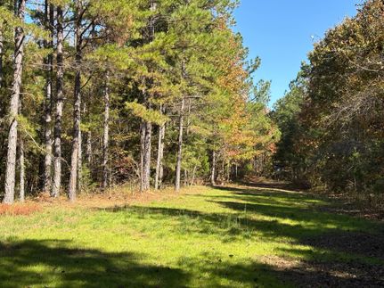 Property for sale in Benton County, Mississippi