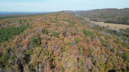 Timberland Property for sale in Blount County, Alabama