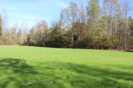Property for sale in Hardeman County, Tennessee