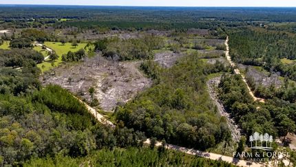 Timberland Property for sale in Holmes County, Florida
