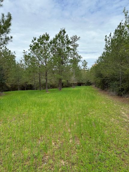 Property for sale in Escambia County, Alabama