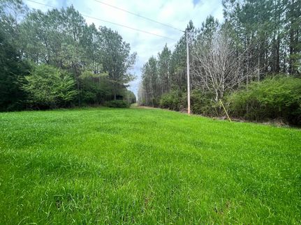 Property for sale in Butler County, Alabama