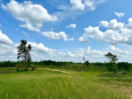 Hunting Land for sale in Hale County, Alabama