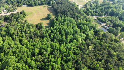 Hunting Land for sale in Lee County, Alabama