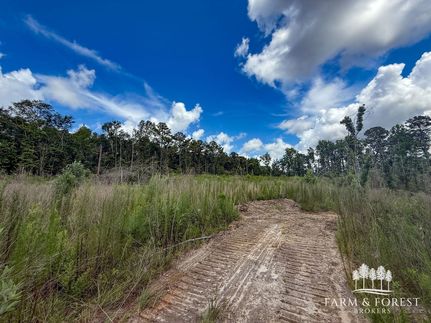 Undeveloped Land for sale in Coffee County, Alabama