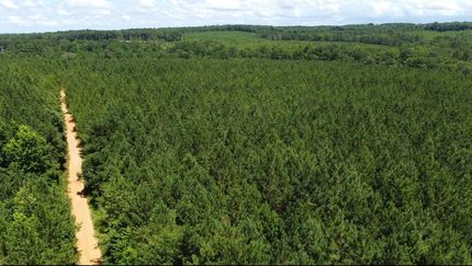 Timberland Property for sale in Tallapoosa County, Alabama