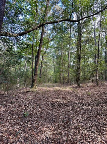 Recreational Property for sale in Covington County, Alabama