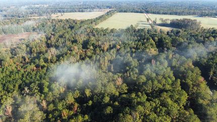 Property for sale in Macon County, Alabama