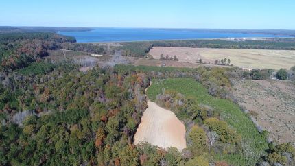 Undeveloped Land for sale in Henry County, Alabama