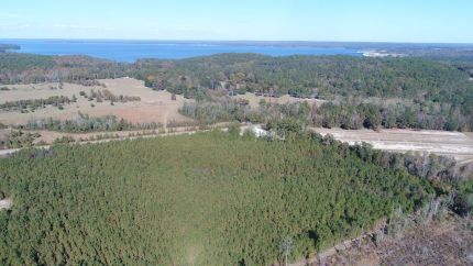 Property for sale in Henry County, Alabama