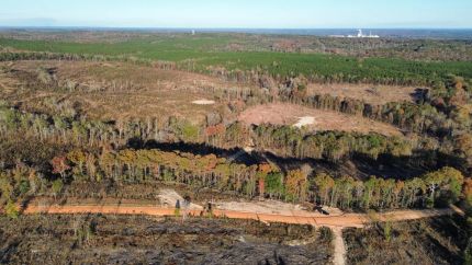 Hunting Land for sale in Russell County, Alabama