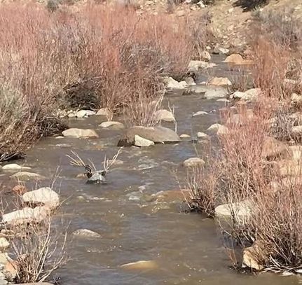 Property for sale in Douglas County, Nevada