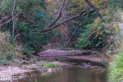 Property for sale in Lincoln County, Mississippi