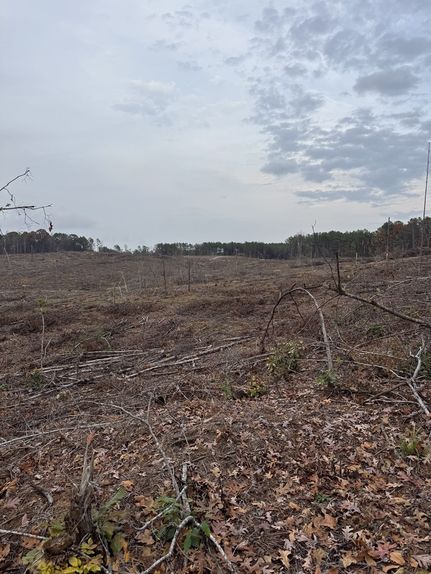 Recreational Property for sale in Lafayette County, Mississippi