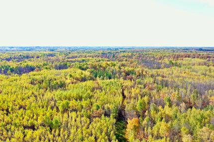 Hunting Land for sale in Carlton County, Minnesota