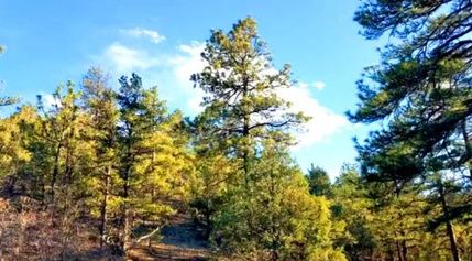 Property for sale in Fremont County, Colorado