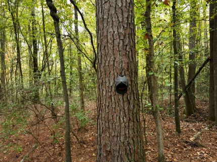 Recreational Property for sale in Calhoun County, Arkansas