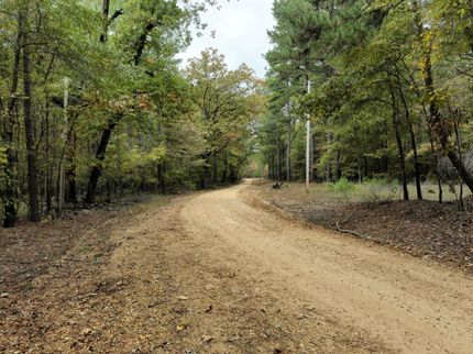 Property for sale in Calhoun County, Arkansas