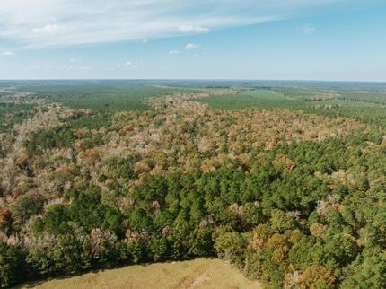 Property for sale in Calhoun County, Arkansas