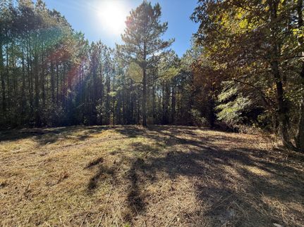 Property for sale in Blount County, Alabama