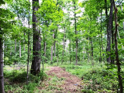 Property for sale in Forest County, Wisconsin