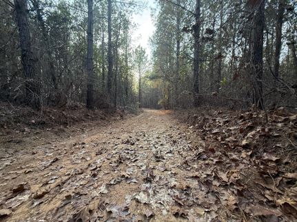 Timberland Property for sale in Blount County, Alabama