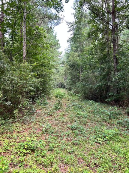 Hunting Land for sale in Horry County, South Carolina