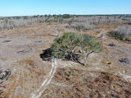 Undeveloped Land for sale in Madison County, Florida