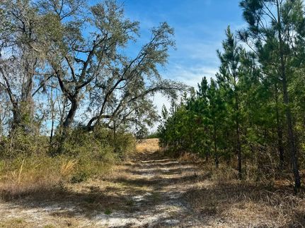 Residential Property for sale in Madison County, Florida