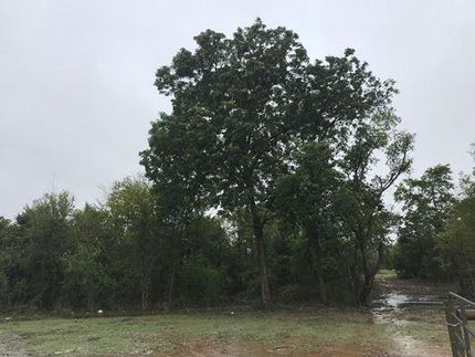 Property for sale in Limestone County, Texas