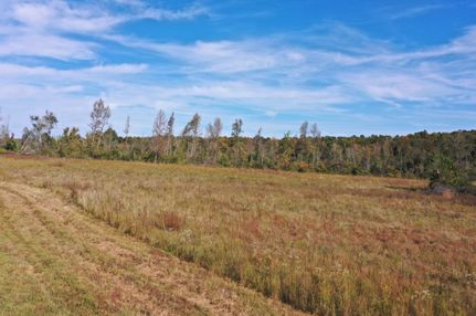 Property for sale in Caldwell County, Kentucky