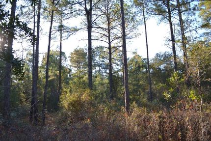Undeveloped Land for sale in Emanuel County, Georgia