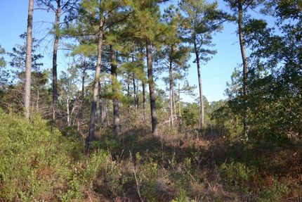 Residential Property for sale in Emanuel County, Georgia