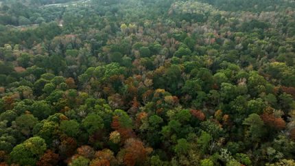 Residential Property for sale in Bulloch County, Georgia