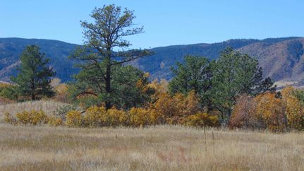 Horse Property for sale in Douglas County, Colorado