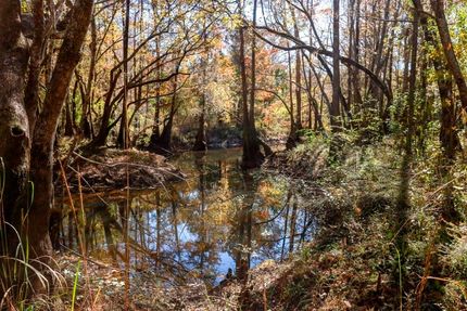 Property for sale in Bulloch County, Georgia