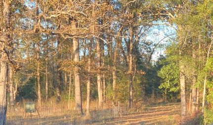 Property for sale in Early County, Georgia