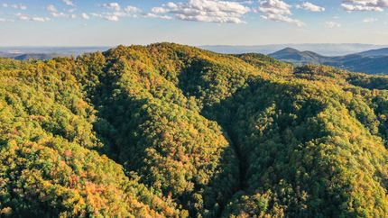 Property for sale in Caldwell County, North Carolina