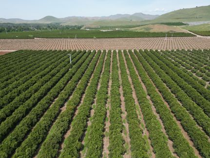 Property for sale in Fresno County, California