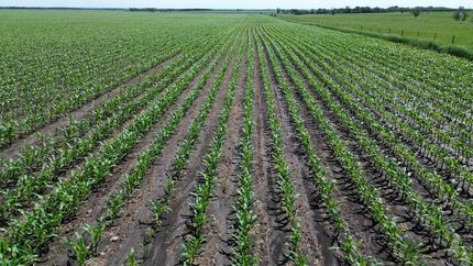 Property in Roberts County, South Dakota