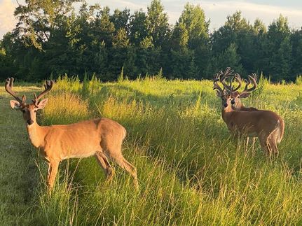 Farm Property for sale in Crenshaw County, Alabama