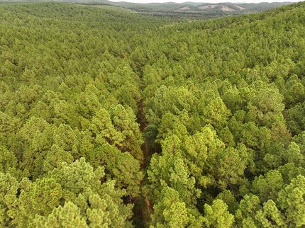 Property for sale in Saline County, Arkansas