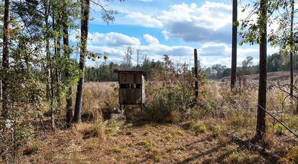 Property for sale in Smith County, Mississippi