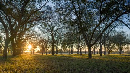 Property for sale in Williamson County, Texas