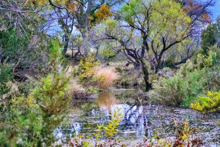 Property for sale in Tom Green County, Texas