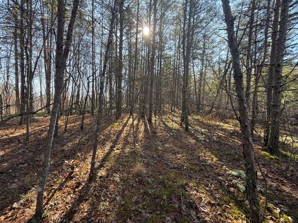Undeveloped Land for sale in Owsley County, Kentucky